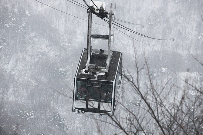 Seoraksan National Park & Nami Island - Who Is This Tour Best For?