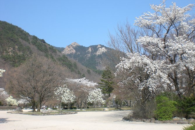 Seoraksan National Park, Temple, Fortress Day Tour From Seoul - Visit Sinheungsa Temple