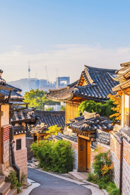 Seoul: 6 - Days Best Of Seoul - Exclusions and Additional Costs