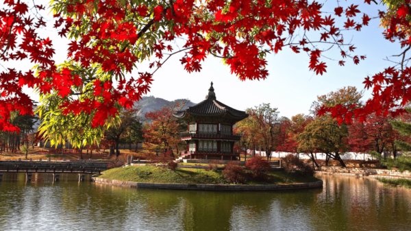 Seoul: 6 - Days Best Of Seoul - Booking and Cancellation Policy
