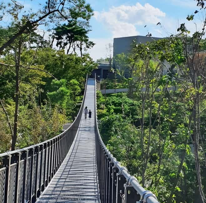 Seoul: Aegibong DMZ & Hanok Scenic/Historical One Day Tour - What to Expect and How It Feels