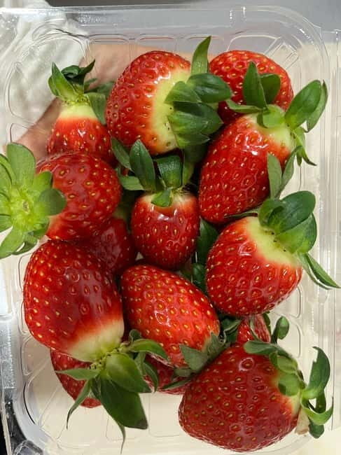 Seoul: Alpaca/Nami/Eobi(+RailBike, Strawberry optional) Tour - Exploring the Highlights of the Tour