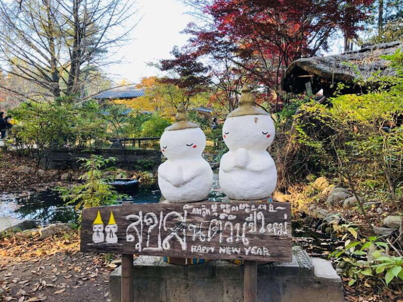 Seoul: Alpaca/Nami/Garden of Morning Calm Tour (+Rail Bike) - Practical Tips for Travelers