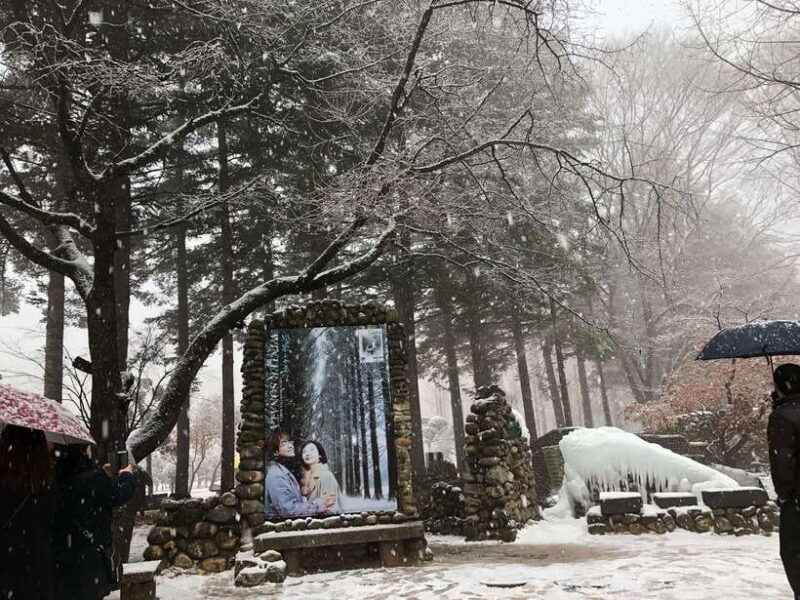 Seoul: Alpaca/Nami/Garden of Morning Calm Tour (+Rail Bike) - Who This Tour Suits Best