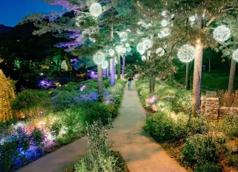 Seoul: Alpaca World and Nami Island (with Garden / Railbike) - Exploring Korea’s Best Day Trip: Alpaca World and Nami Island