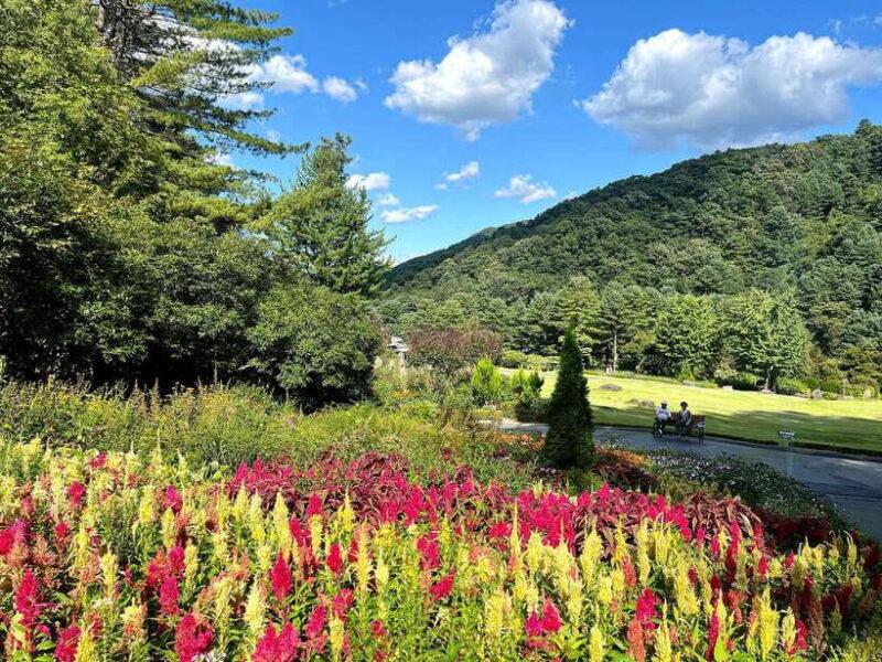 Seoul: Alpaca World and Nami Island (with Garden / Railbike) - Frequently Asked Questions