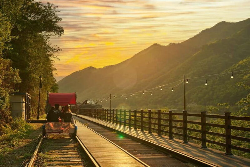 Seoul: Alpaca World & Nami Island (opt. Gangchon Railbike) - Optional: Gangchon Railbike Adventure