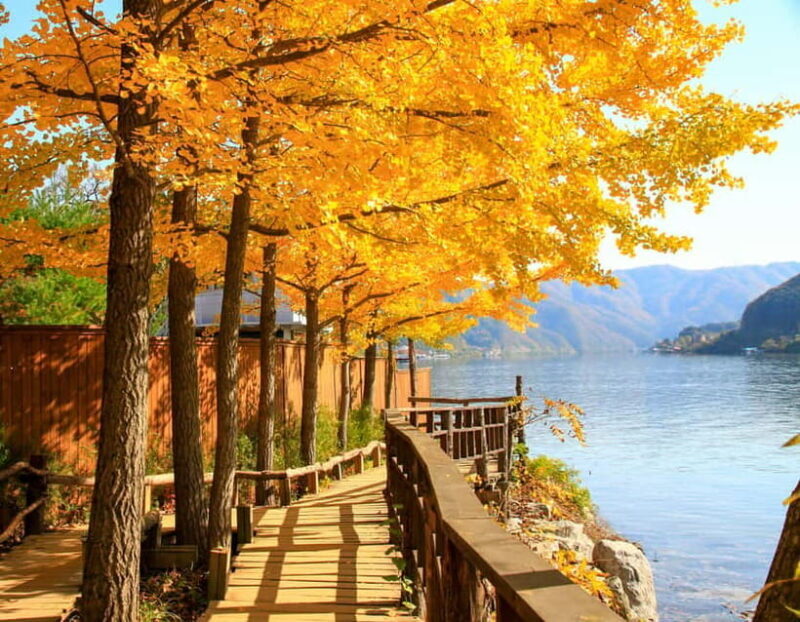 Seoul: Alpaca World & Nami Island (opt. Gangchon Railbike) - Good To Know