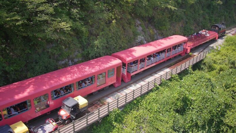 Seoul: Alpaca World & Nami Island (opt. Gangchon Railbike) - Final Thoughts