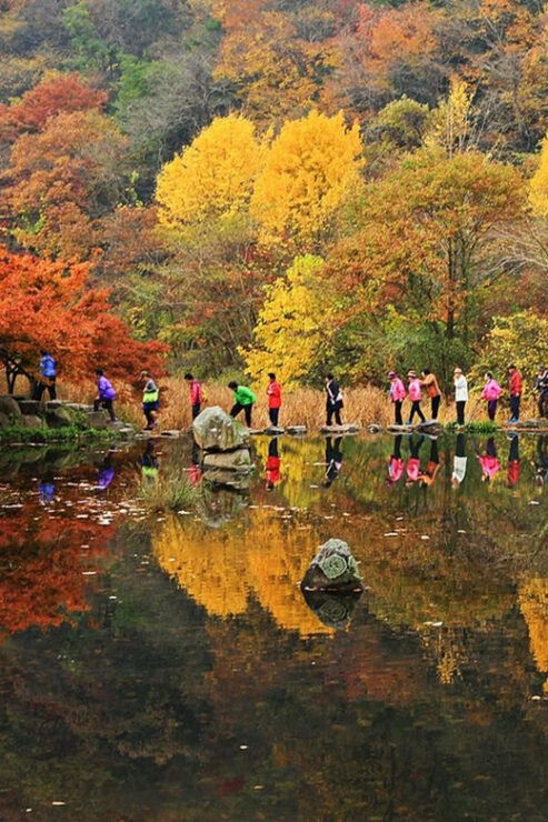 Seoul: Autumn Foliage - Mt. Naejang + Jeonju Hanok Village - Key Points
