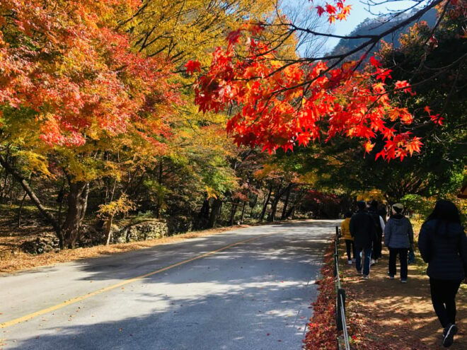Seoul: Autumn Foliage - Mt. Naejang + Jeonju Hanok Village - Exploring Jeonju Hanok Village