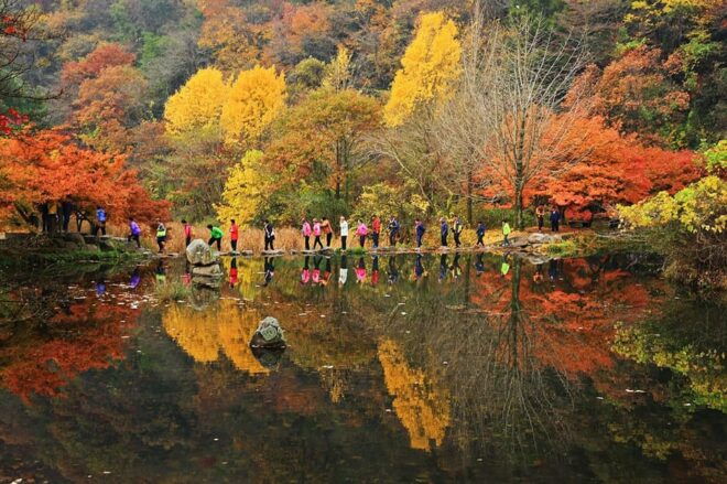 Seoul: Autumn Foliage - Mt. Naejang + Jeonju Hanok Village - Local Food and Culture