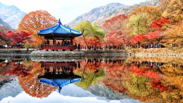 Seoul: Autumn Foliage - Mt. Naejang + Jeonju Hanok Village - Fitness and Accessibility