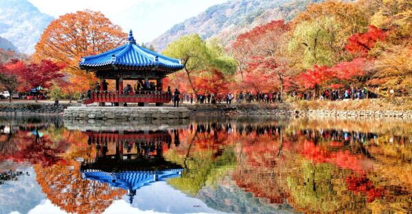 Seoul: Autumn Foliage - Mt. Naejang + Jeonju Hanok Village - Essential Packing Tips