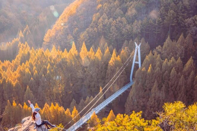 Seoul: Autumn Jangtaesan Recreational Forest One Day Tour - Jangtaesan Recreational Forest
