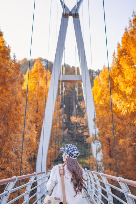 Seoul: Autumn Jangtaesan Recreational Forest One Day Tour - Yuseong Hot Springs Experience