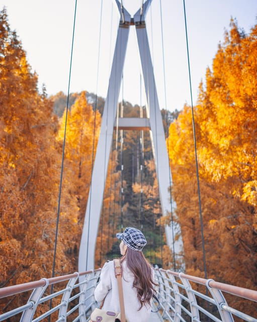 Seoul: Autumn Jangtaesan Recreational Forest One Day Tour - Exploring Hanbat Arboretum