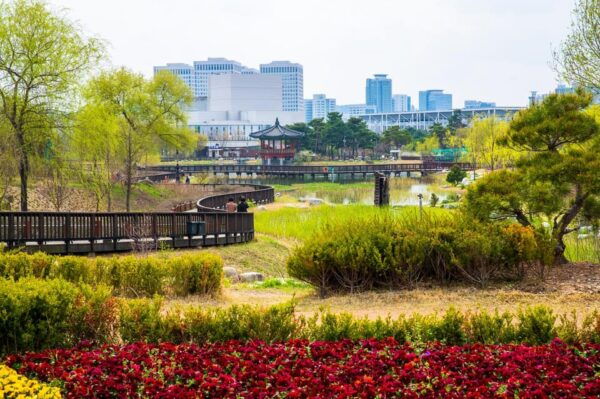 Seoul: Autumn Jangtaesan Recreational Forest One Day Tour - Important Notes and Tips