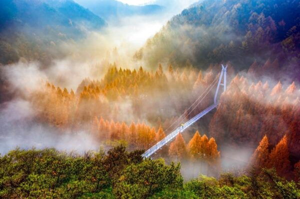 Seoul: Autumn Jangtaesan Recreational Forest One Day Tour - Questions You May Have