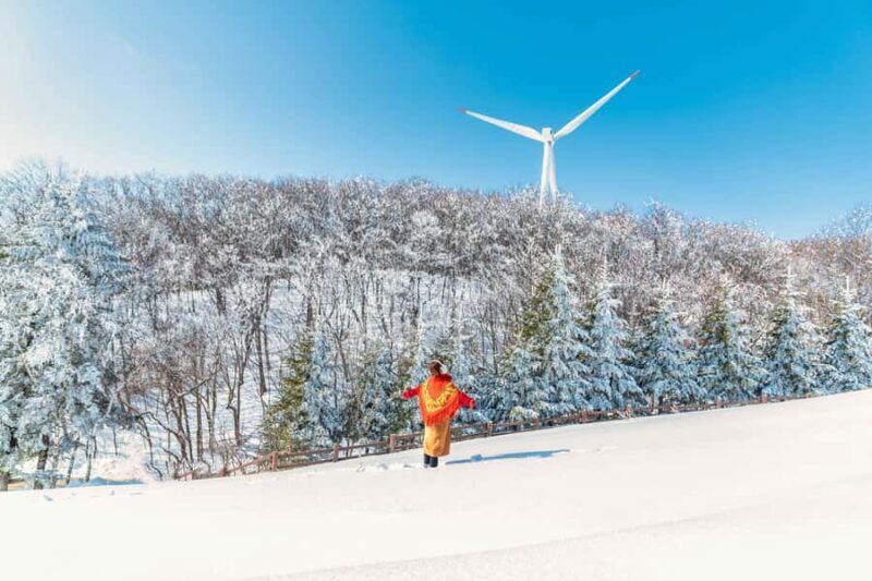 Seoul: Balwangsan Cable Car & Samyang Ranch One Day Tour - A Closer Look at the Tour Experience