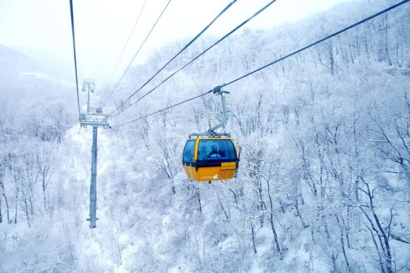 Seoul: Balwangsan Cable Car & Samyang Ranch One Day Tour - An In-Depth Look at the Tour Experience