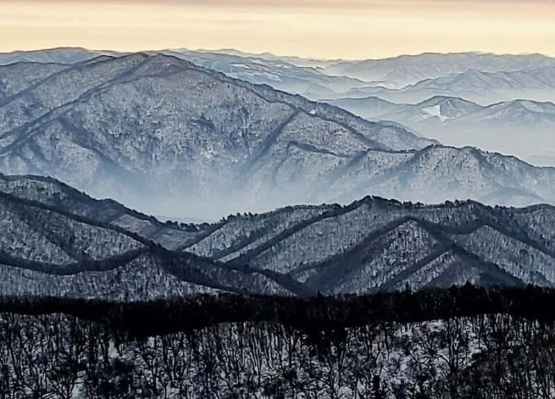 Seoul: Balwangsan Cable Car & Samyang Ranch One Day Tour - FAQ