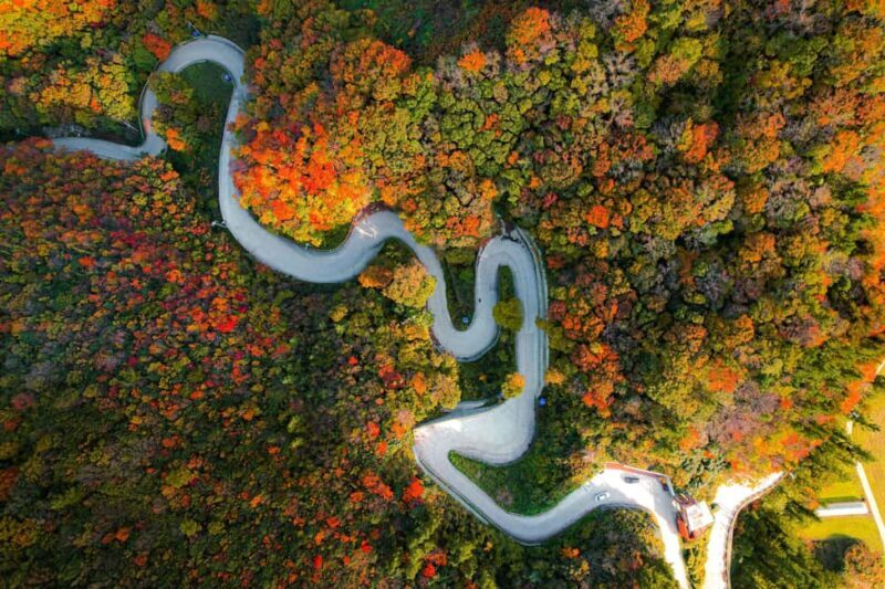 Seoul: BTS Gangneung Fan Tour & Ulleung Island Escape - FAQs