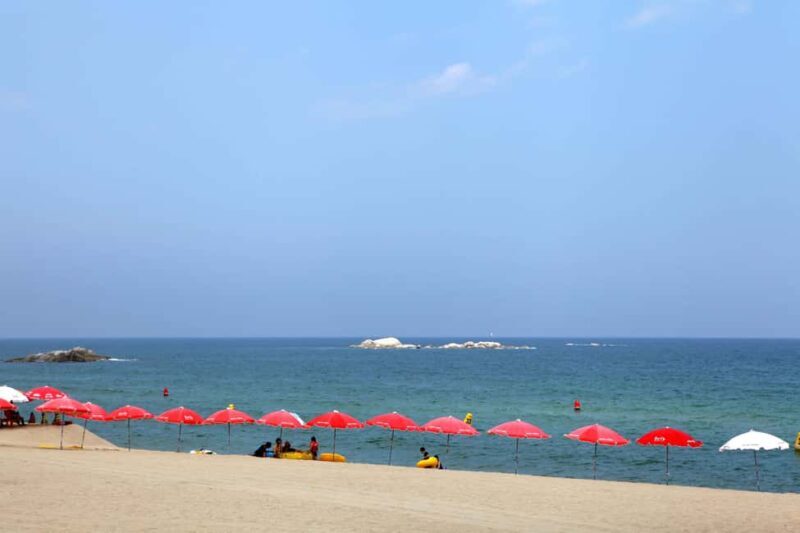 Seoul: BTS Gangneung Fan Tour & Ulleung Island Escape - Final Thoughts