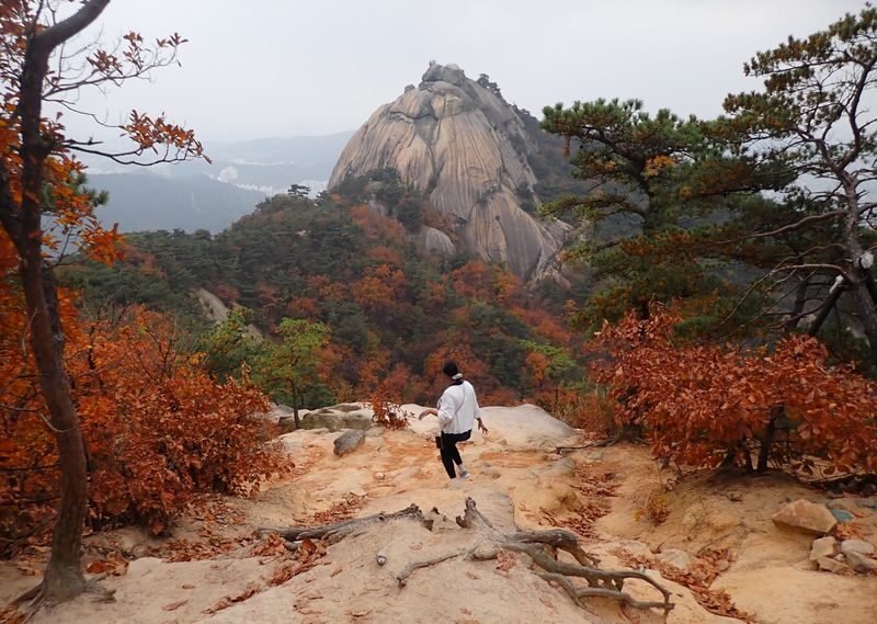 Seoul Bukhansan Half-Day Small Group Hiking Tour - A steep opening, then room to find your pace