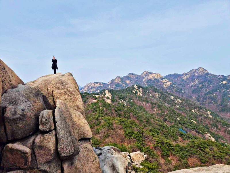 Seoul Bukhansan Half-Day Small Group Hiking Tour - Who should book this ridge hike?