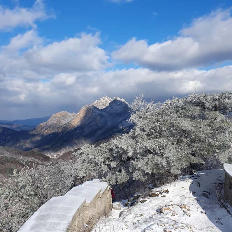 Seoul: Bukhansan National Park Private Trekking Tour - The Value of This Trekking Experience