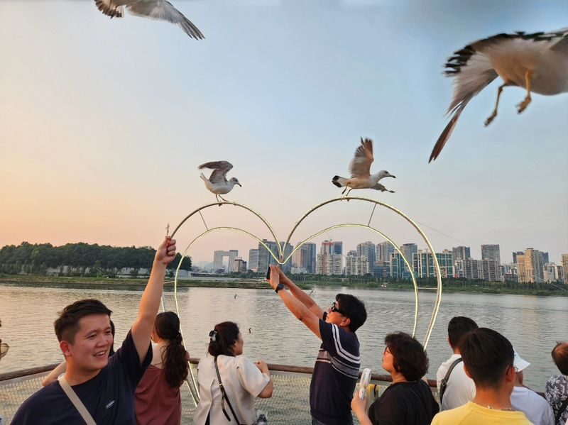Seoul, Busan and Gyeongju Private 5D4N Tour from Seoul - Should you book this Seoul, Busan and Gyeongju tour?