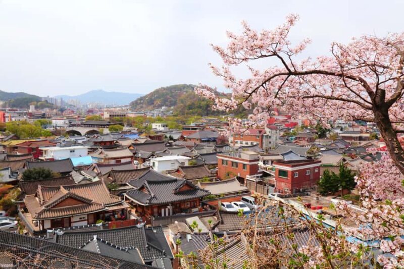 Seoul/Busan: Gwangyang Plum Blossom Festival Spring Day Tour - Detailed Breakdown of the Itinerary and Experience