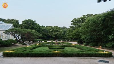 Seoul Changgyeonggung Palace Half-Day Historical Tour - What the guide adds to the ticket price