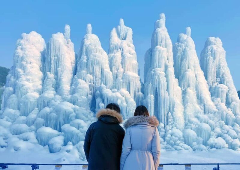Seoul: Cheongyang Ice Festival & Strawberry Picking - Who Should Consider This Tour?