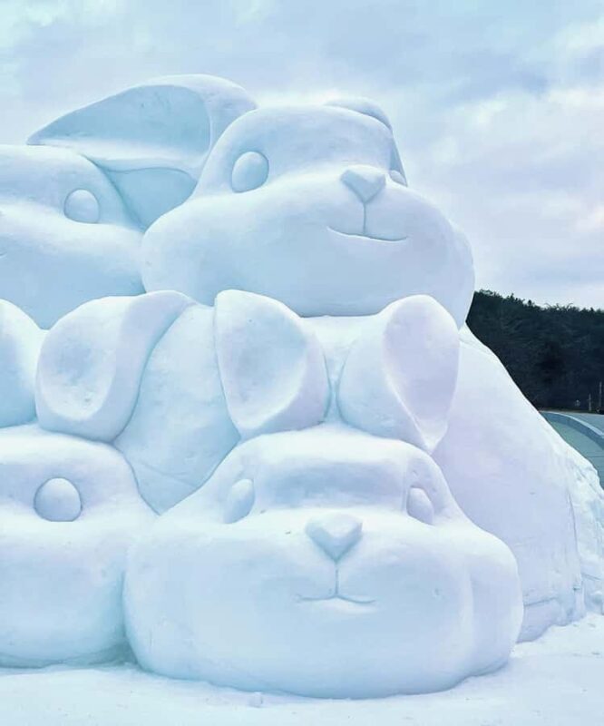 Seoul: Cheongyang Ice Festival & Winter Activities - Who is This Tour Best For?