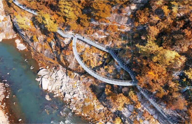 Seoul: Cheorwon DMZ & 2nd Tunnel Small Group Tour - Who Is This Tour Best For?