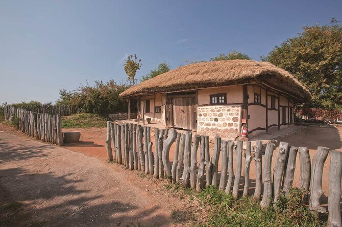 Seoul Cherry Blossom and Spring Experience Walking Tour - Who Should Consider This Tour?