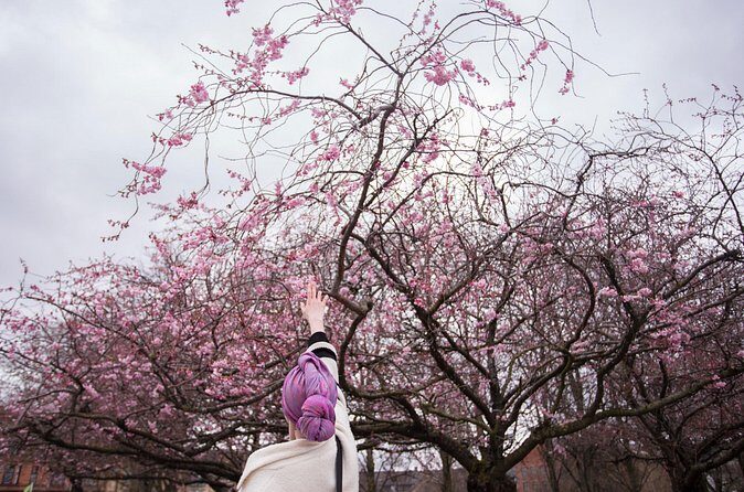 Seoul Cherry Blossom and Spring Experience Walking Tour - The Sum Up: Is It Worth It?
