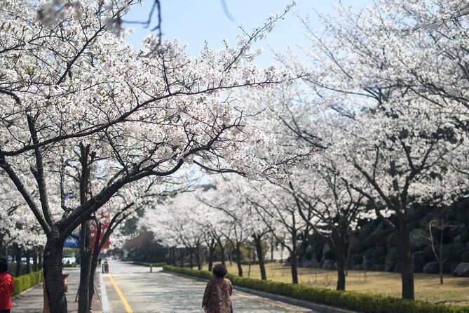 Seoul Cherry Blossom and Spring Experience Walking Tour - FAQ