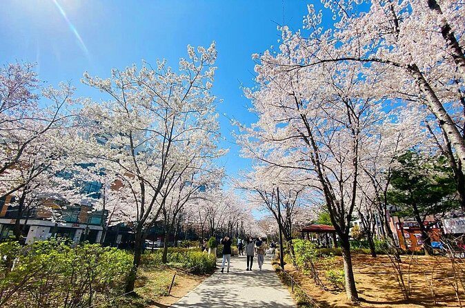 Seoul Cherry Blossom Walking Tour to Gyeongui Line Park - Final Thoughts