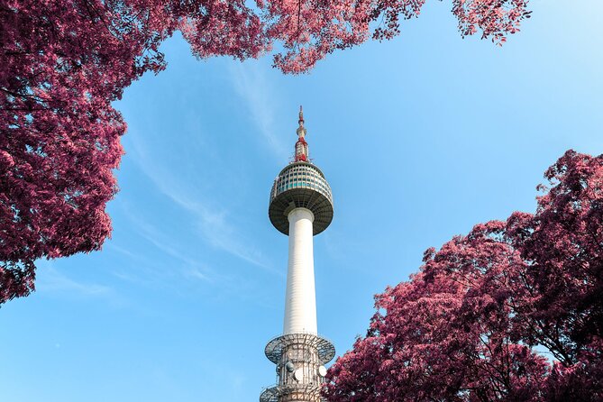 Seoul City 1 Day Private Custom Tour - Date and Travelers