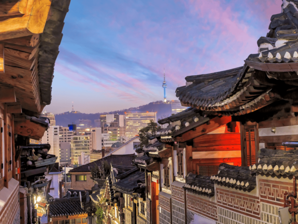 Seoul City 9HOUR : Private Car Rental Tour With EN Driver - Accessibility and Safety Guidelines