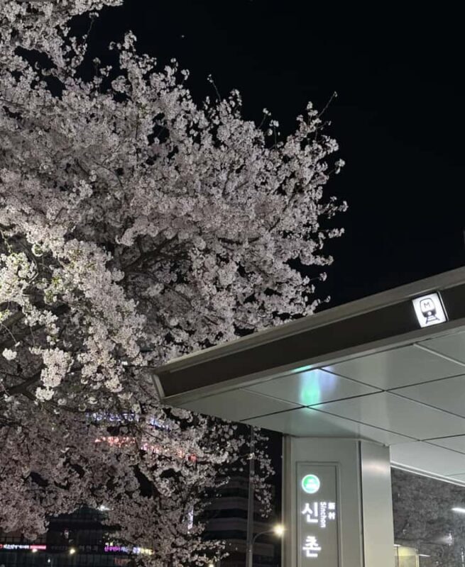 Seoul City Cherry Blossom Private Sightseeing Tour - Good To Know