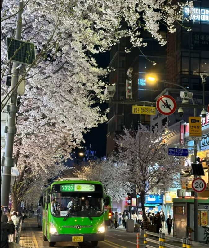 Seoul City Cherry Blossom Private Sightseeing Tour - Additional Insights from Real Reviews