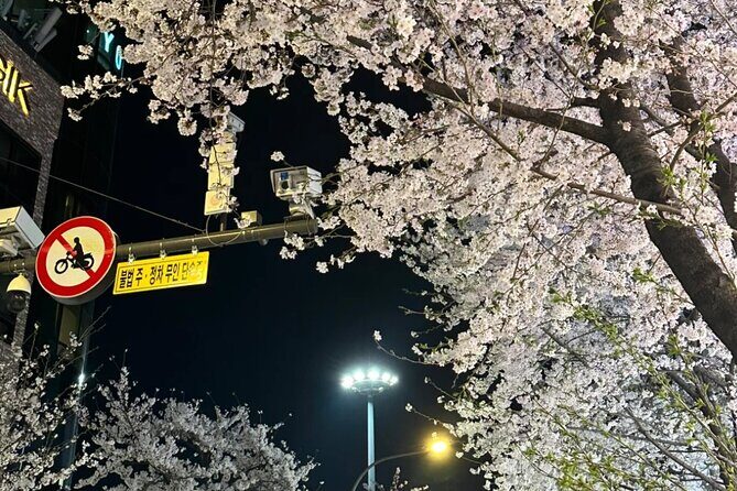 Seoul City Cherry Blossom Private Sightseeing Tour - Good To Know