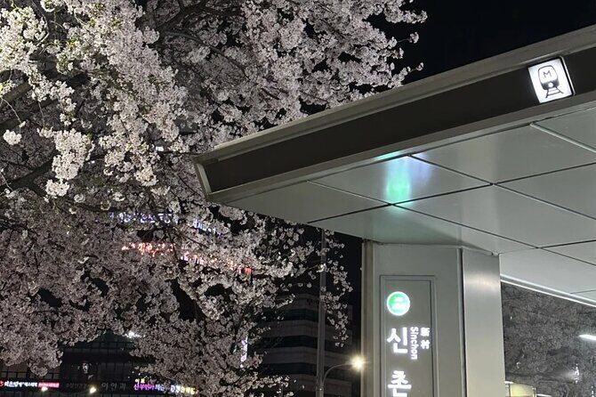 Seoul City Cherry Blossom Private Sightseeing Tour - An In-Depth Look at the Cherry Blossom Tour