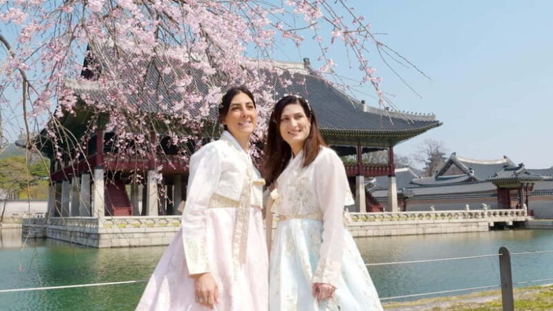 Seoul: City Hightlights, Palace Tour, and Optional Hanbok - Who Will Enjoy This Tour?