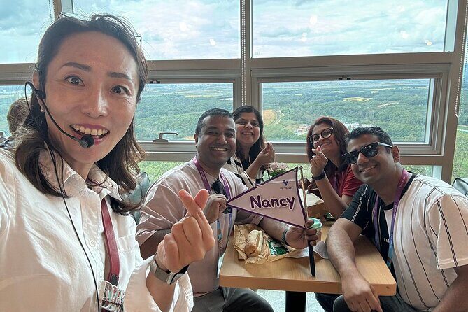 Seoul City Private Tour (Optional : Seoul, DMZ, Nami Island) - A Deep Dive into the Experience