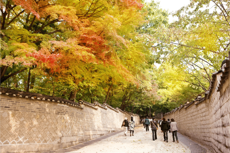 Seoul City Secret Garden Palace Walking Tour - Key Itinerary Highlights